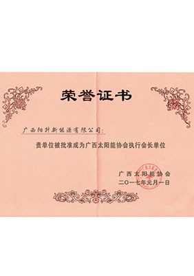 廣西太陽(yáng)能協(xié)會(huì)執(zhí)行會(huì)長(zhǎng)